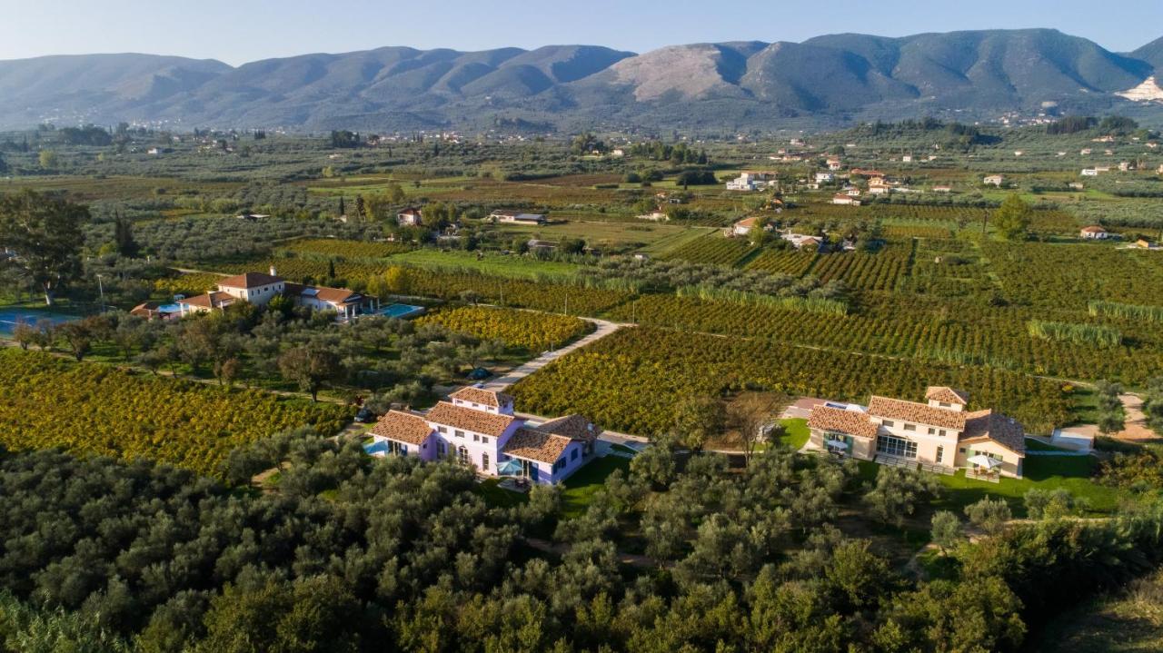 Aneli Luxury Villas - Villa Semeli Áyios Kírikos Exterior photo